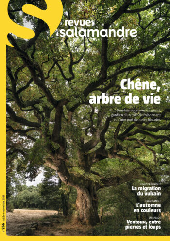 Couverture de La Salamandre n°266