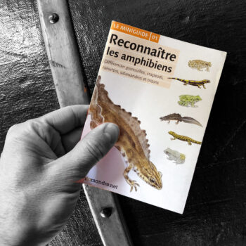 2001: publication du Miniguide n°1