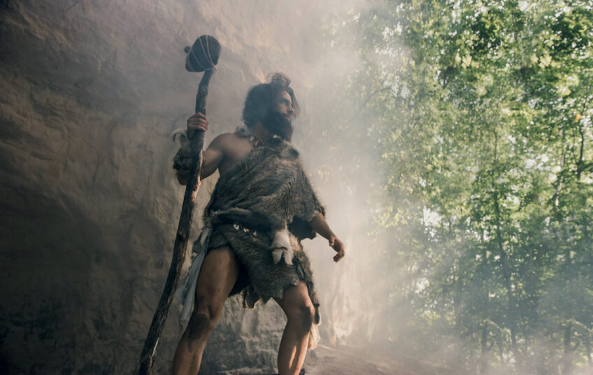 Aux racines de l'alliance entre le chêne et l'humain