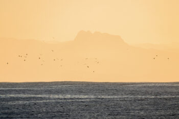 Goélands devant le massif basque des Trois Couronnes Goélands devant le massif basque des Trois Couronnes