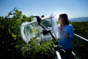 Les chercheurs de l’Observatoire de Haute-Provence étudient la dynamique, le fonctionnement et la biodiversité d’une forêt de chênes pubescents face aux changements climatiques.