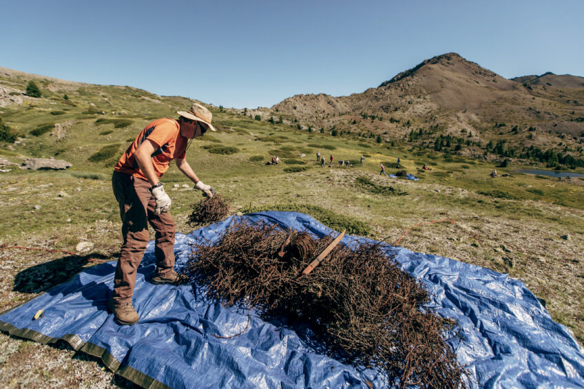 Montagnes zéro déchet avec Mountain Wilderness