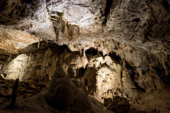 Plus de 10 000 grottes sillonnent les profondeurs du Jura,
la plus grande mesurant 35 km de longueur.