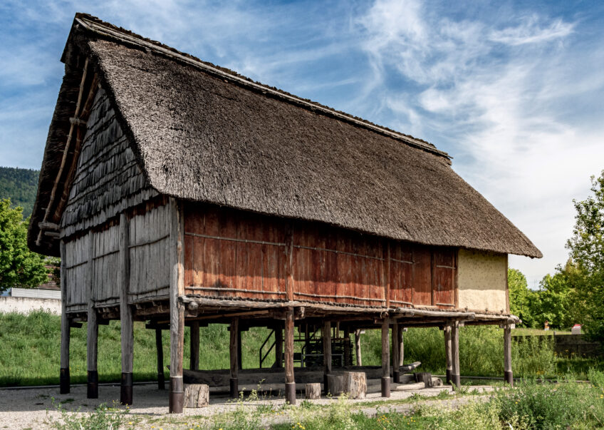 Reconstitution d’une habitation juchée sur des pieux en chêne, comme on en rencontrait à proximité du lac de Neuchâtel vers 1 000 av. J.-C.   Aux racines de l'alliance entre le chêne et l'humain