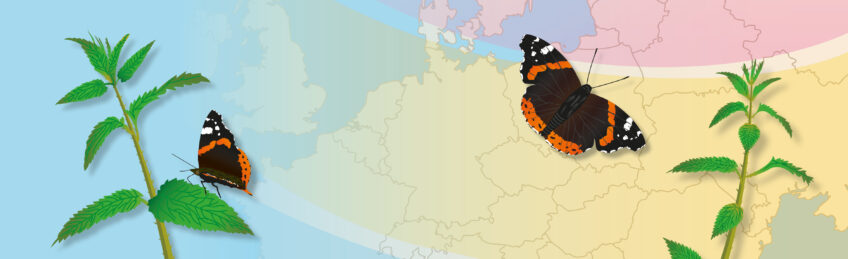 Migration du vulcain