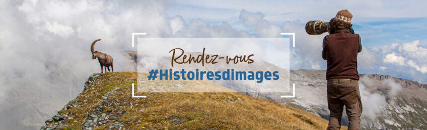 Histoires d'images Alessandro Staehli