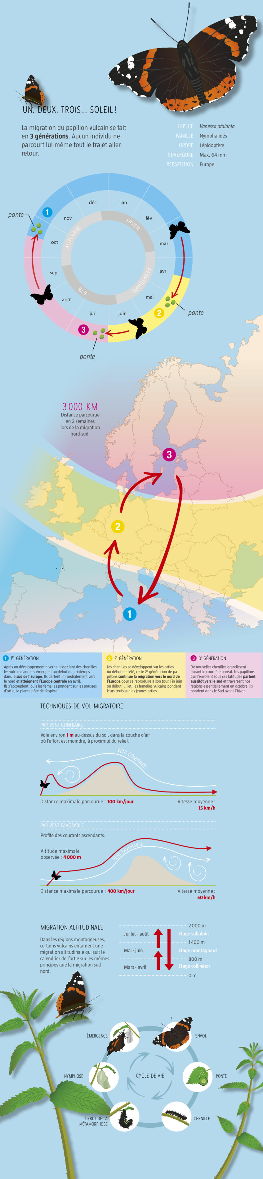 Migration du vulcain