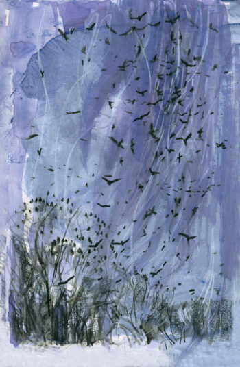 Avec les corbeaux de Lyon