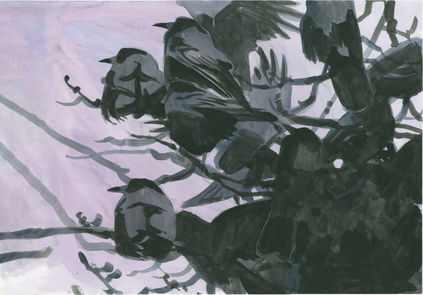 Avec les corbeaux de Lyon