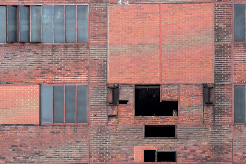 Les 13 plus belles photos d'oiseaux de 2021 selon le Vogelwarte