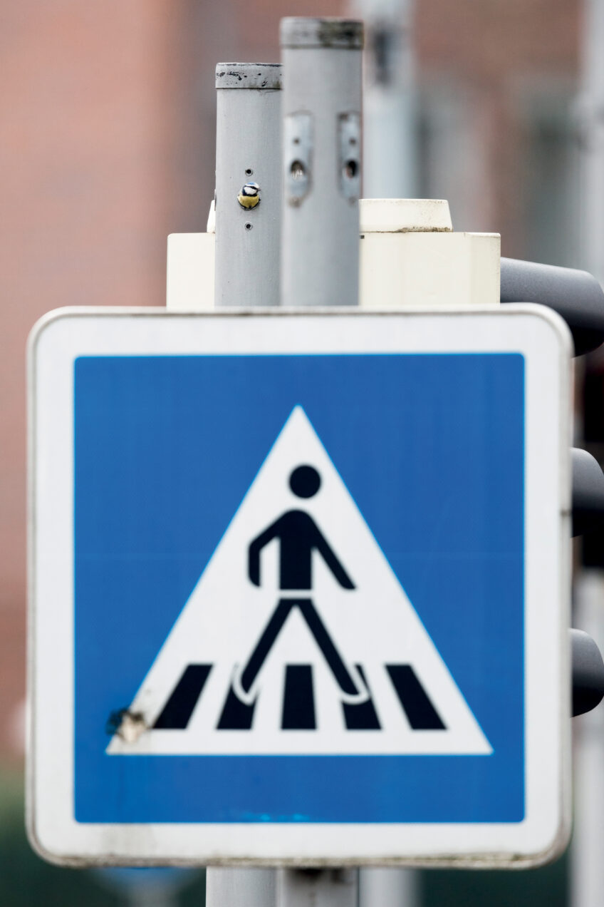 Les 13 plus belles photos d'oiseaux de 2021 selon le Vogelwarte