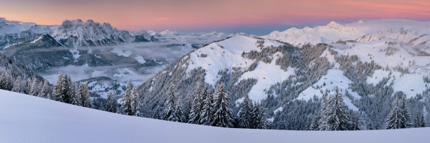 Pourquoi n’y a-t-il pas d’arbres en haute montagne ?