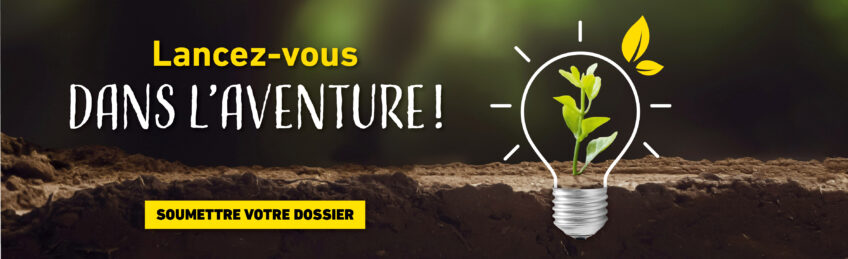 Projets nature Salamandre