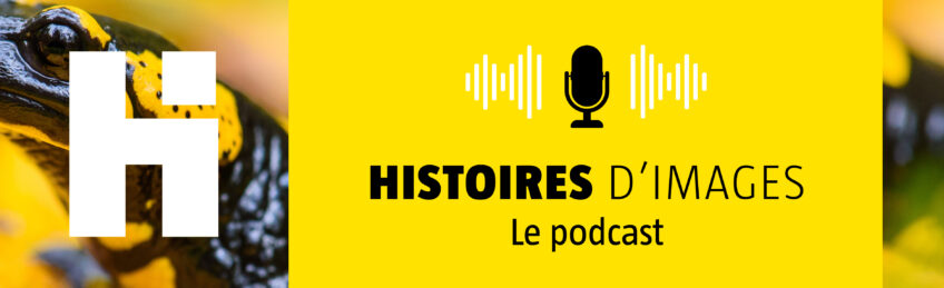 Podcast histoires d'images Salamandre