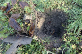 Creusez un trou de la taille du pot de fleurs dans un coin ensoleillé du jardin.