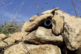 Le palais de la reine bourdon