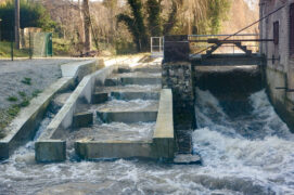 La rivière Béthune, en Seine-et-Marne, a bénéficié de la suppression
de seuils et de l’installation de passes à poissons. / © SEINORMIGR
