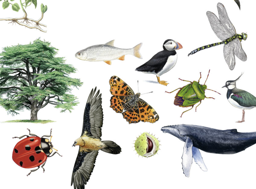 Le grand livre de la nature