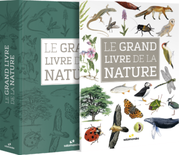 Zoom sur Le grand livre de la nature