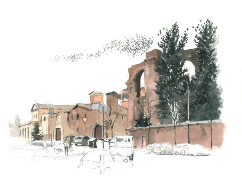 Quand les étourneaux sansonnets font leur nid