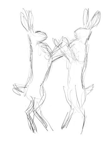 Le rut du lièvre dans la Beauce dessiné et raconté par Jean Chevallier