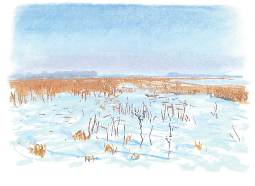 Le rut du lièvre dans la Beauce dessiné et raconté par Jean Chevallier