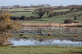 Les marais de Claire-Douve / © Jean-Philippe Paul