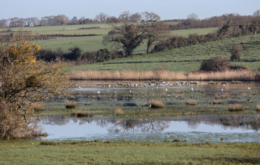 marais de Claire-Douve