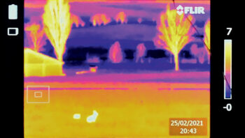 Lièvre dans le paysage agricole du Val-de-Ruz / © Nathan Horrenberger