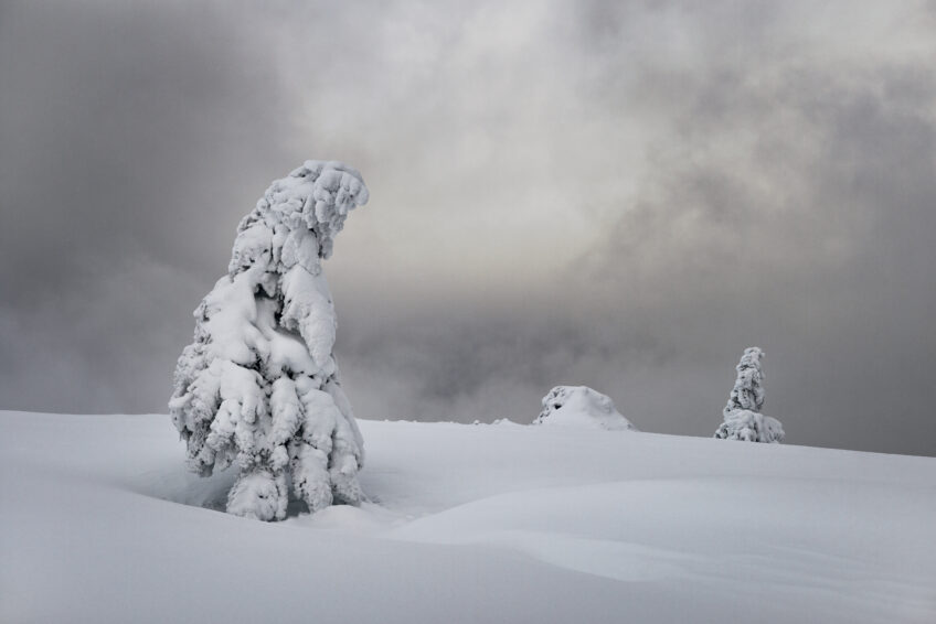 L'hiver éphémère du photographe Emmanuel Boitier