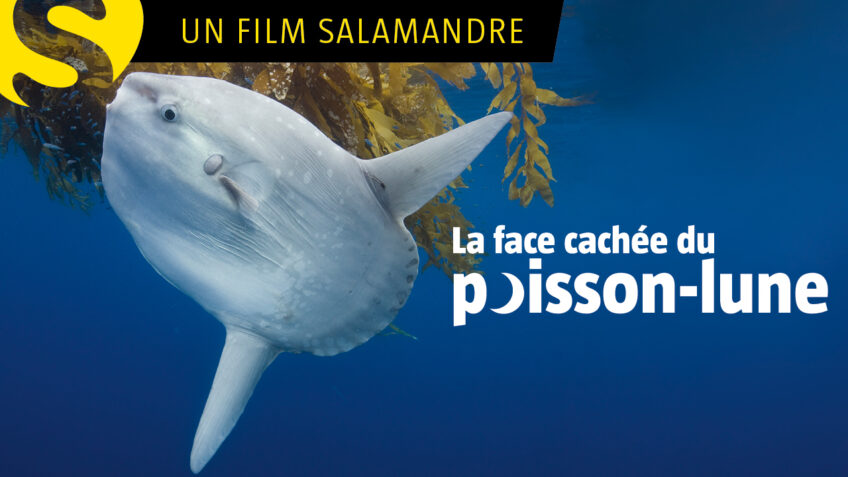 documentaire animalier à voir en famille