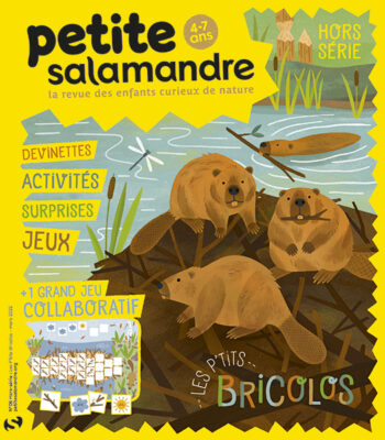 Couverture de La Petite Salamandre n°HS06