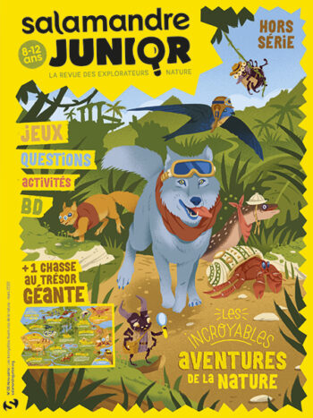 Couverture de La Salamandre Junior n°HS06
