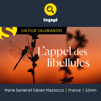 L'appel des libellules - documentaire animalier sur les libellules