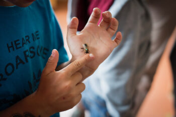 Des activités pour découvrir la nature à tous les âges  / © Yann André