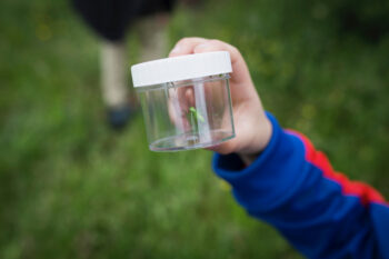 Un univers sous une pierre, Sion. Suisse, le 26 mai 2019 / © Yann André
