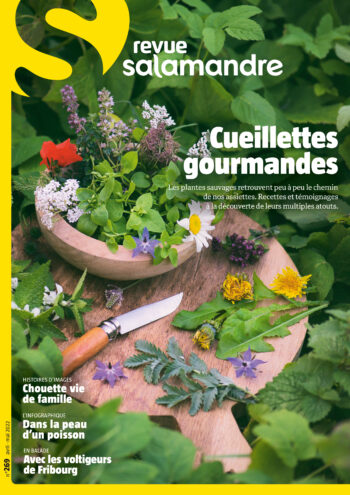 Couverture de La Salamandre n°269