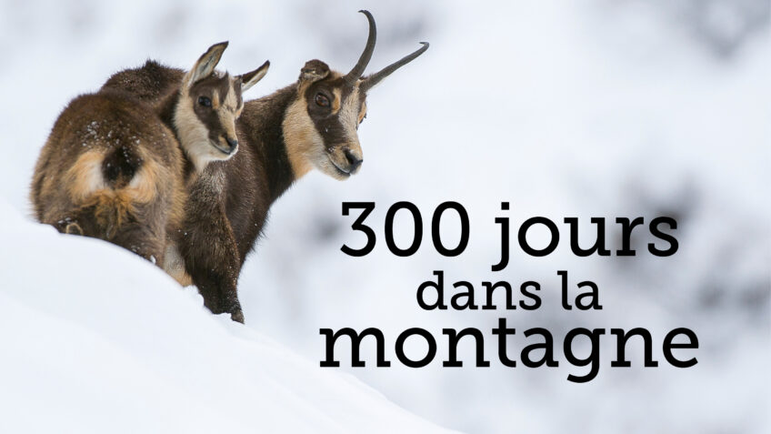 300 jours dans la montagne