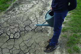 Créez quelques flaques de boue en arrosant régulièrement des zones de terre nue en cas de sécheresse entre avril et juillet. C’est la matière première nécessaire à la confection des nids.
