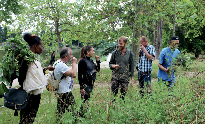 10 conseils de Christophe de Hody pour cueillir des plantes comestibles
