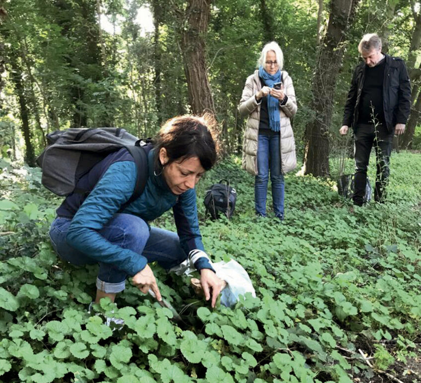 10 conseils de Christophe de Hody pour cueillir des plantes comestibles