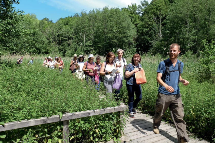 10 conseils de Christophe de Hody pour cueillir des plantes comestibles