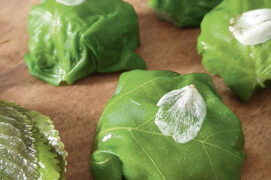 © le chemin de la nature.com