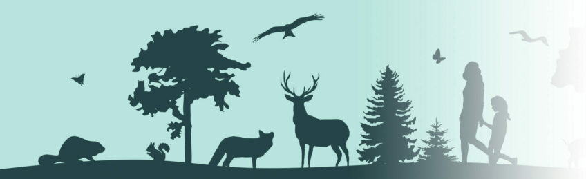 L'enquête sauvage se reconnecter à la nature