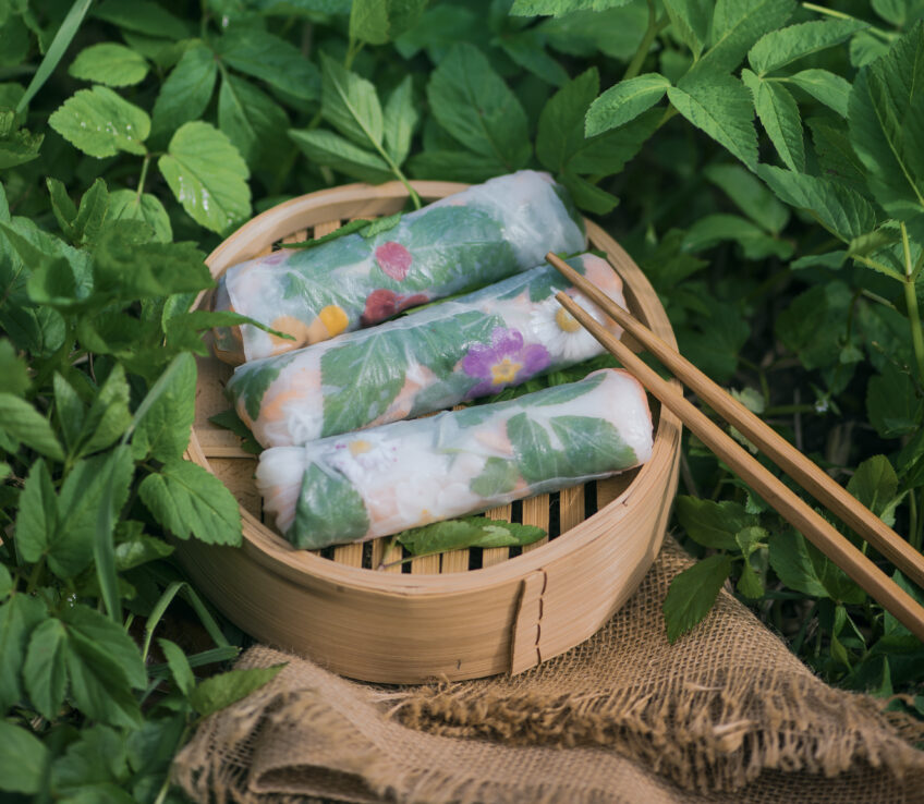 Rouleaux de printemps à l'égopode