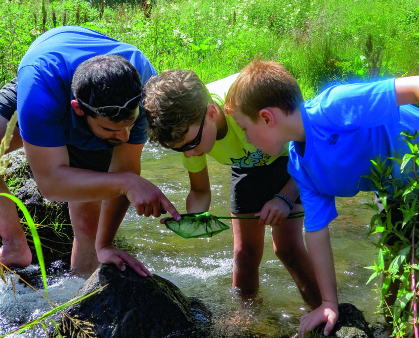 Cherchez les petites bêtes des rivières