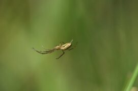 © Sébastien Poiret