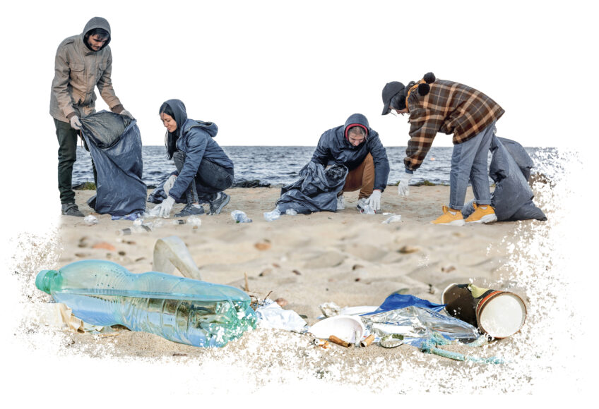 Comment préserver les raies ?