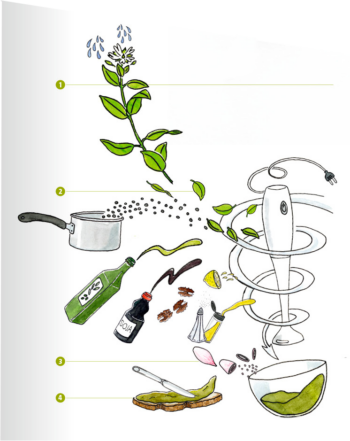 Recette de tartinade de mouron blanc
