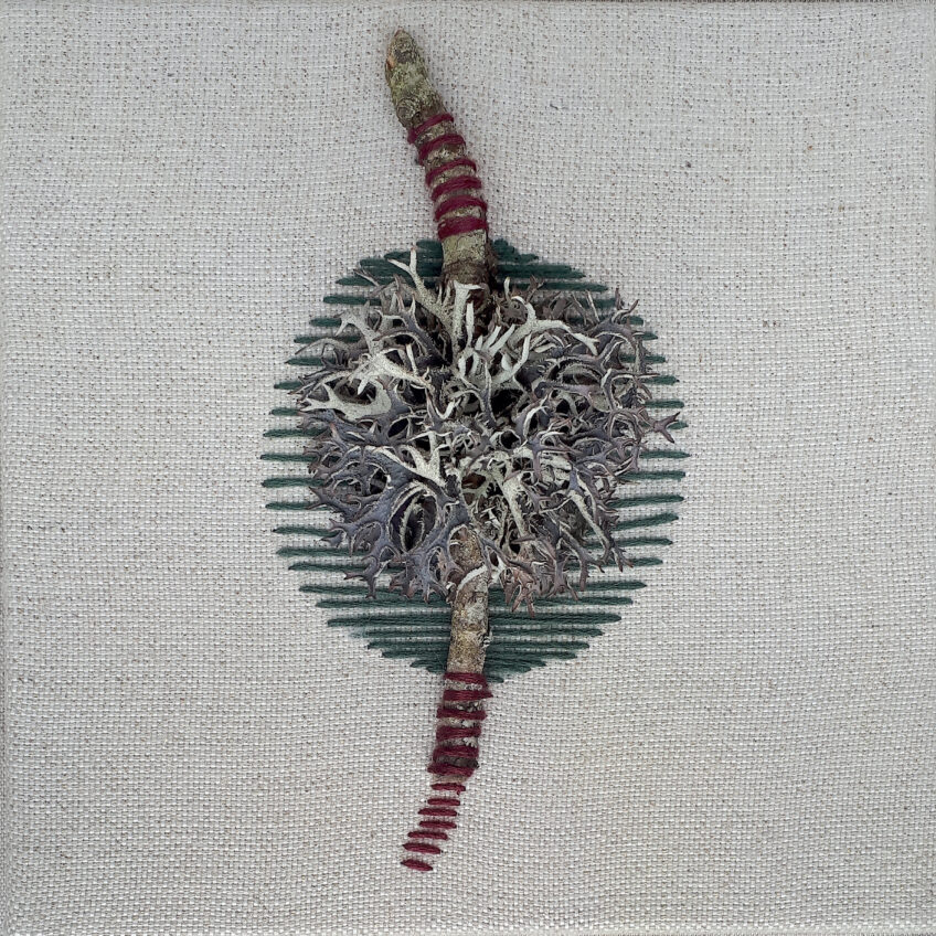 Quand le lichen s'intègre aux œuvres d'Isabelle Millet